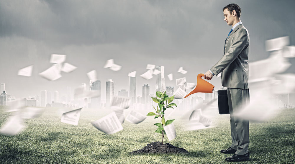 Non-Profit HR Solutions, New York